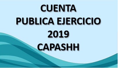 CUENTA PUBLICA EJERCICIO 2019